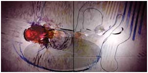 geoff sansbury painting 'holding on'